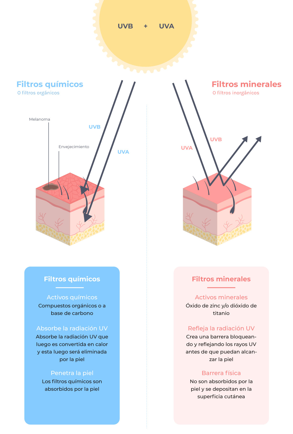 infografía que muestra las diferencias entre un fotoprotector químico y físico