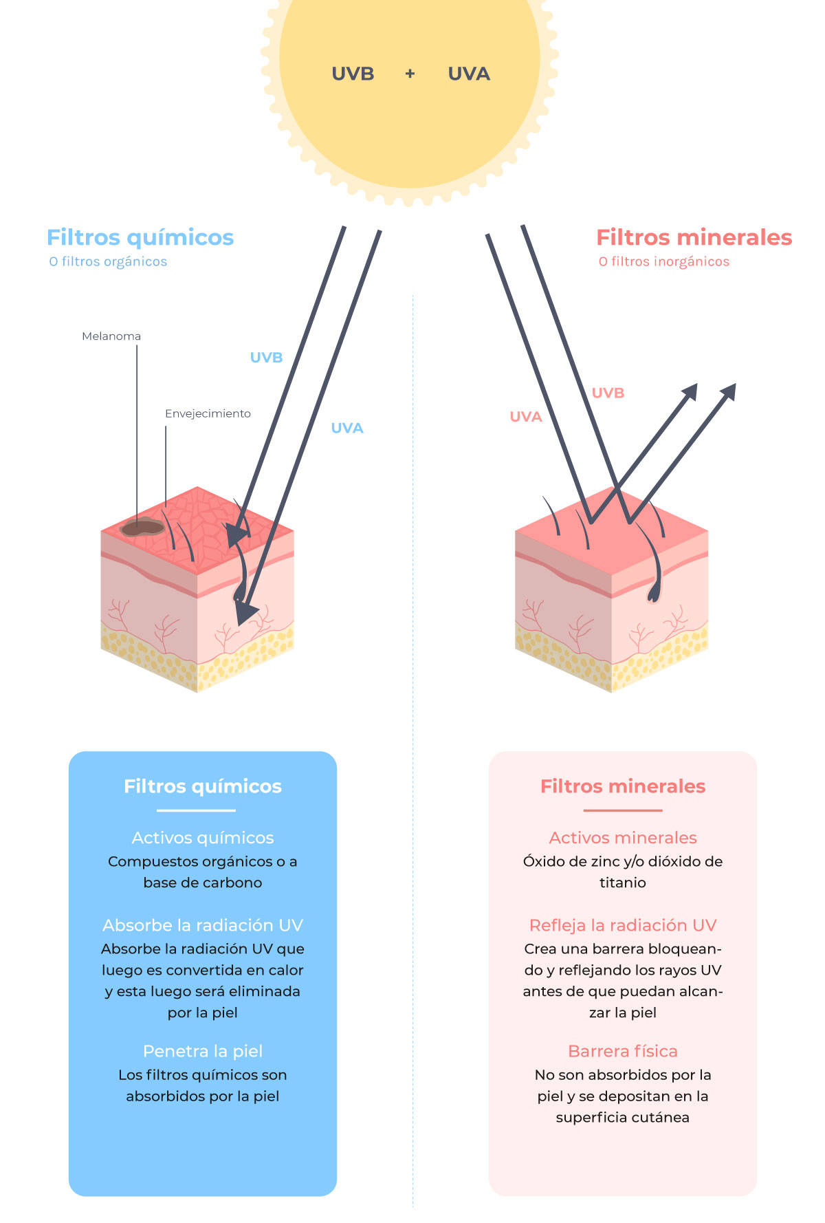 infographic showing the differences between chemical and physical sunscreens