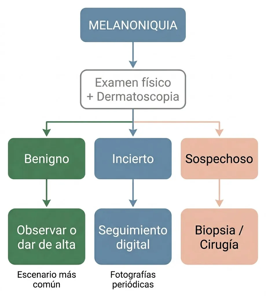 Flujograma de decisi&oacute;n cl&iacute;nica ante una melanoniquia: examen, dermatoscopia y tres posibles conductas seg&uacute;n el nivel de sospecha